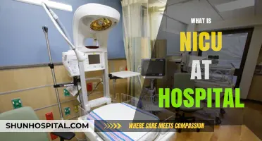 Understanding NICU: A Guide to Neonatal Intensive Care Units