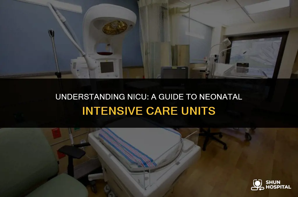 what is nicu at hospital