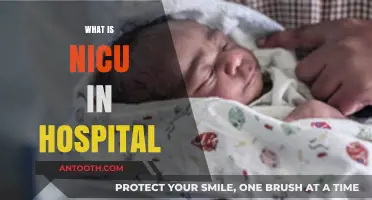 Understanding NICU: A Lifesaving Hospital Unit for Newborn Care