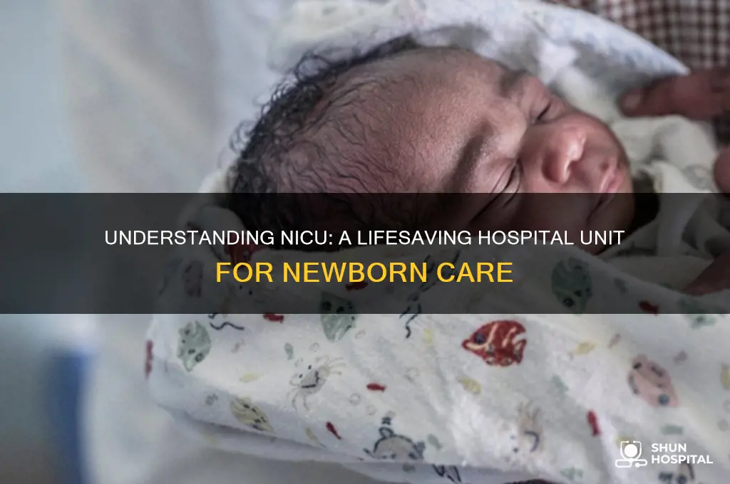 what is nicu in hospital