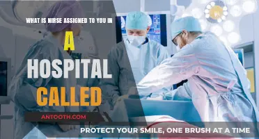 Understanding Your Hospital Care Team: Who Is Your Assigned Nurse?