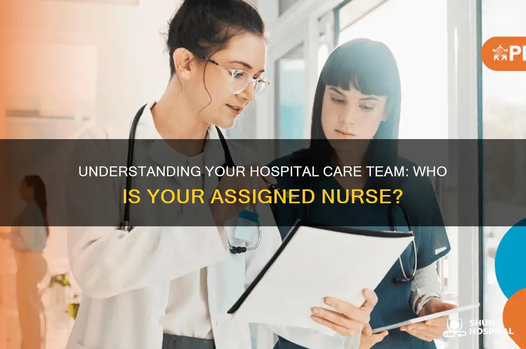 what is nirse assigned to you in a hospital called