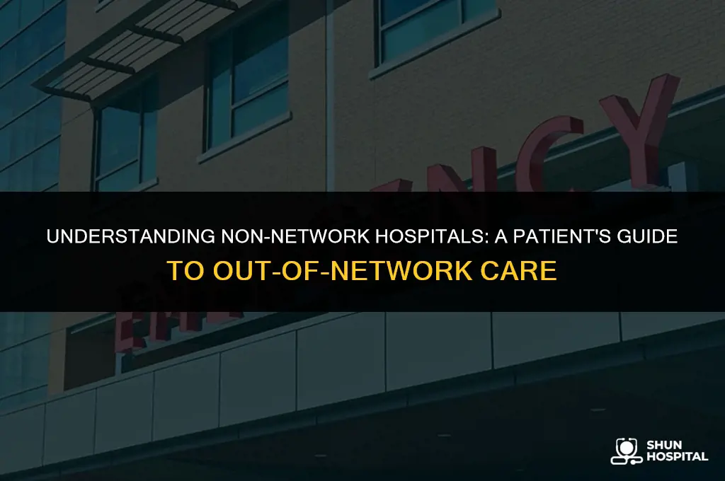 what is non network hospital