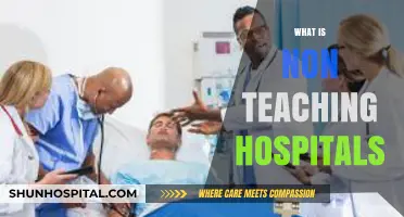 Understanding Non-Teaching Hospitals: A Comprehensive Overview