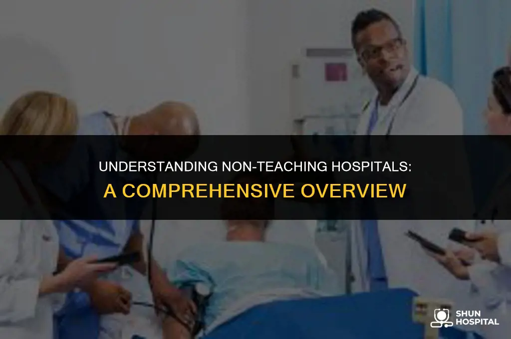 what is non teaching hospitals