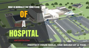 Exploring the Third Floor: A Hospital's Specialized Care Hub