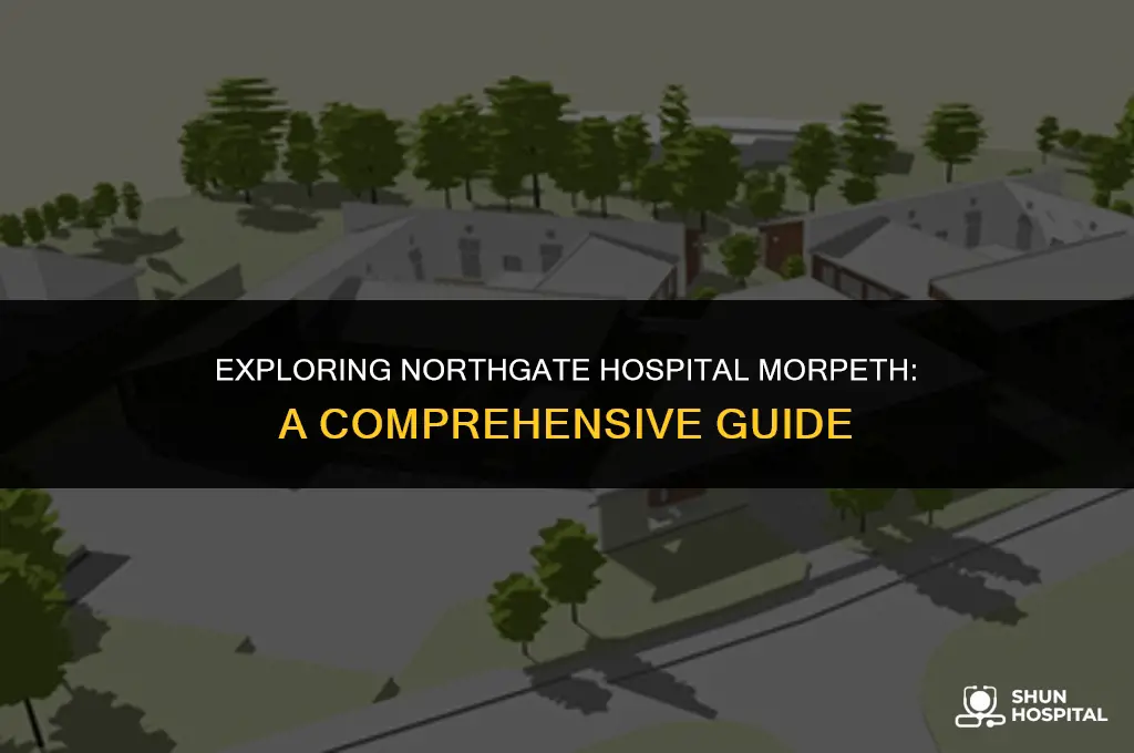 what is northgate hospital morpeth