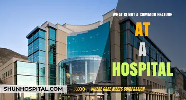 Uncommon Hospital Features: What You Won’t Typically Find in Healthcare Facilities