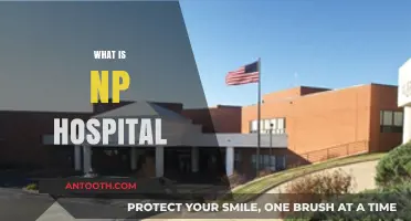 Understanding NP Hospitals: A Comprehensive Guide to Nurse Practitioner-Led Care