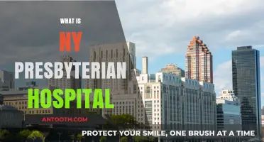 Exploring NY Presbyterian Hospital: A Comprehensive Overview