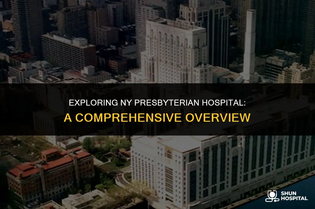 what is ny presbyterian hospital