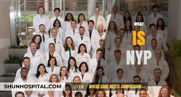 Understanding NYP: A Comprehensive Guide to Its Meaning and Significance