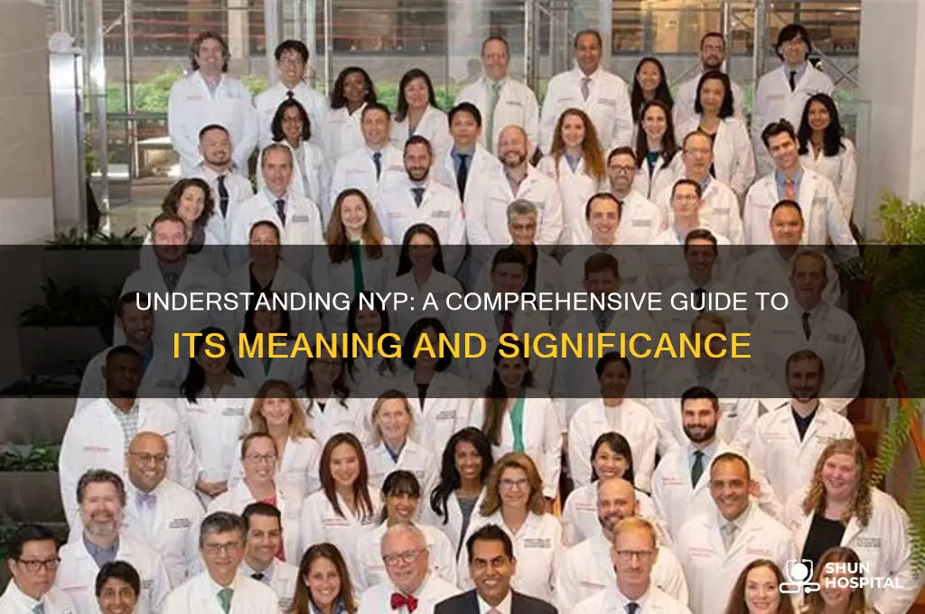 what is nyp