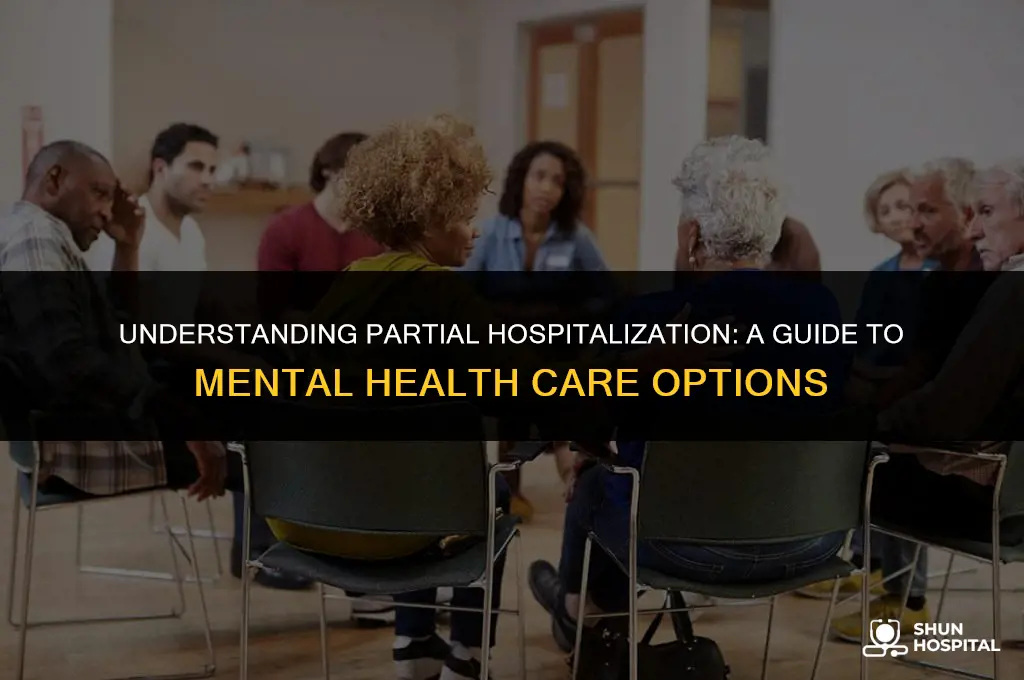 what is oartial hospitalization
