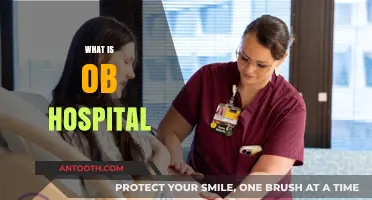 Understanding OB Hospitals: A Comprehensive Guide to Maternity Care