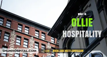 Exploring Ollie Hospitality: A Fresh Take on Modern Accommodations