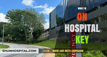Unlocking the Secrets: A Comprehensive Guide to Hospital Key Components
