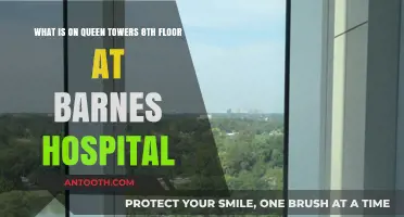 Queen Towers 8th Floor: Unveiling Barnes Hospital's Hidden Gem