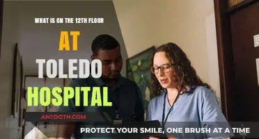 Exploring Toledo Hospital's 12th Floor: Services and Facilities Revealed