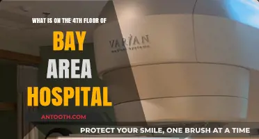 Exploring Bay Area Hospital's 4th Floor: Services and Facilities Revealed