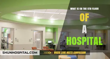 Unveiling the Secrets: Exploring a Hospital's 5th Floor Functions