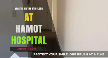 Exploring Hamot Hospital's 6th Floor: Services, Amenities, and Patient Care