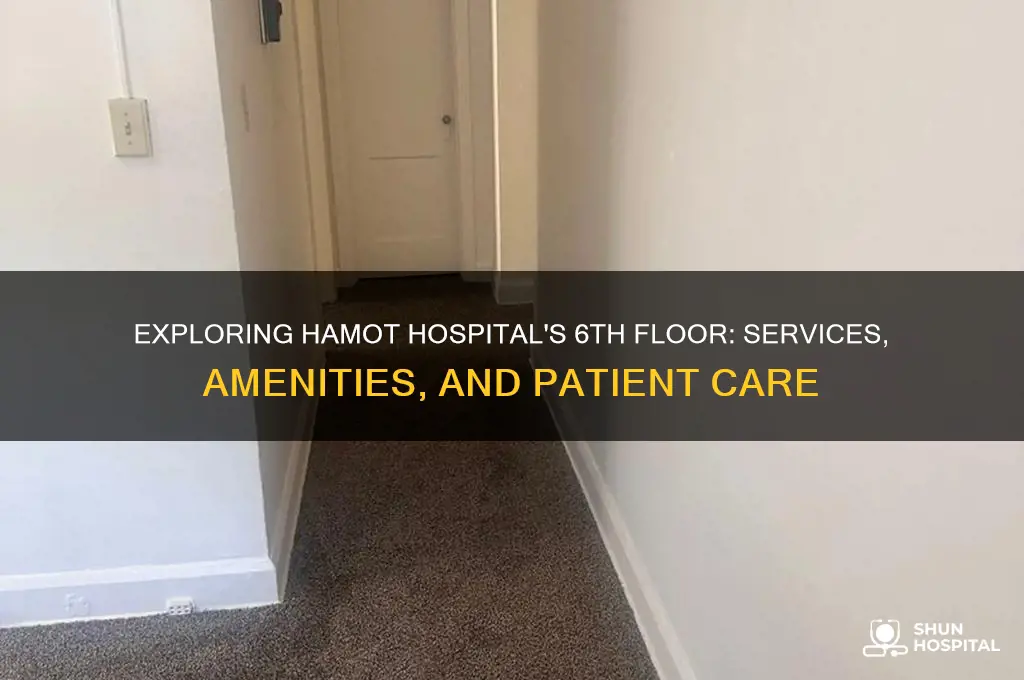 what is on the 6th floor at hamot hospital