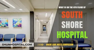 Exploring South Shore Hospital's 6th Floor: Services and Facilities