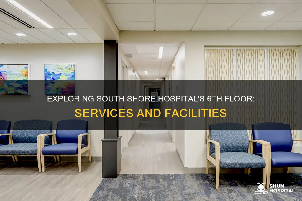 what is on the 6th floor of south shore hospital