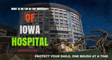 Discovering the Landmark Above University of Iowa Hospital: A Guide