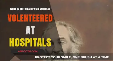Why Walt Whitman Volunteered at Hospitals During the Civil War