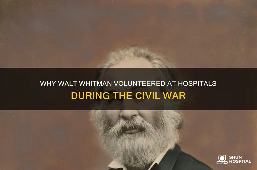 what is one reason walt whitman volenteered at hospitals