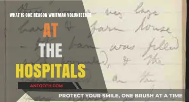 Whitman's Compassionate Motivation: Volunteering in Hospitals During the Civil War