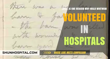 Why Walt Whitman Volunteered in Hospitals During the Civil War