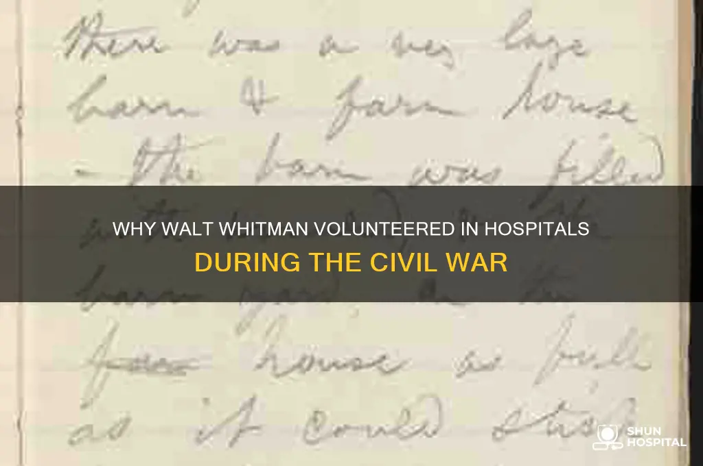 what is one reason why walk whitman volunteed in hospitals