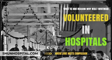 Why Walt Whitman Volunteered in Hospitals During the Civil War