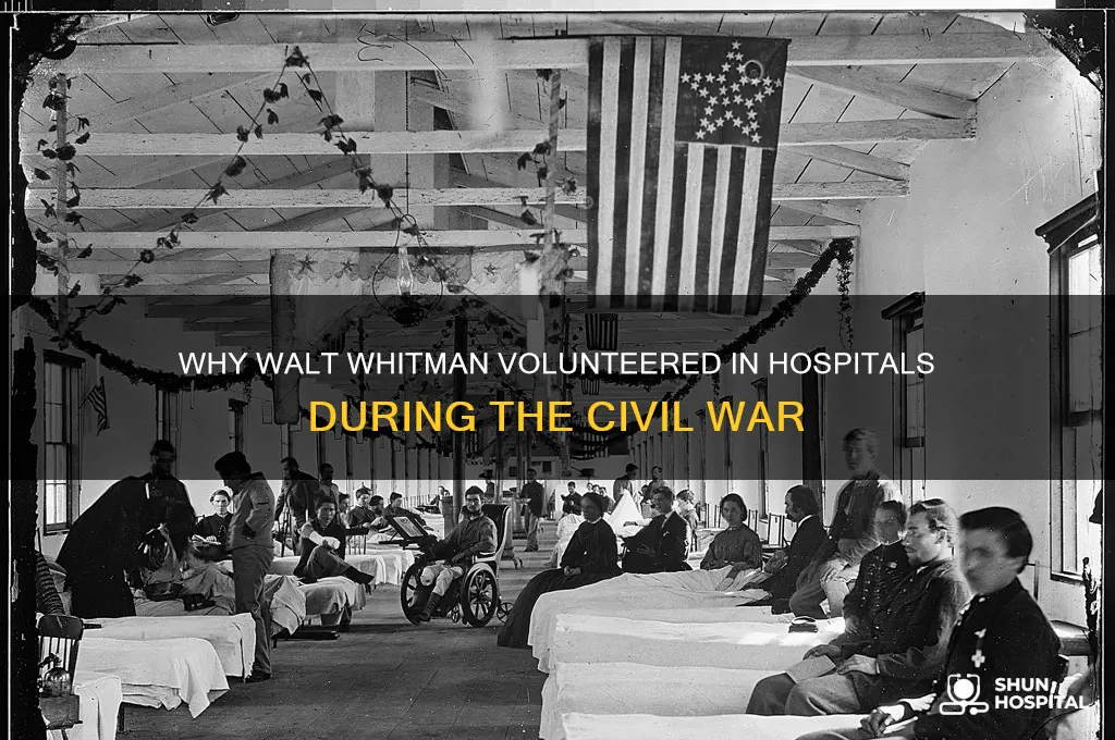 what is one reason why walt whitman volunteered in hospitals
