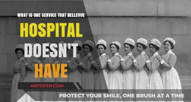 Missing at Bellevue: One Unexpected Service the Hospital Doesn’t Offer