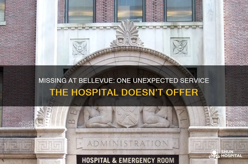 what is one service that bellevue hospital doesn