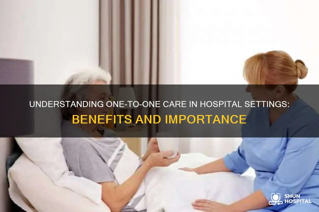 what is one to one care in hospital setting