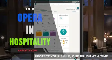 Exploring Opera: A Unique Fusion in the Hospitality Industry