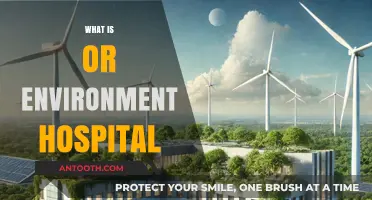 Understanding the Concept of an Environment-Friendly Hospital: A Comprehensive Guide