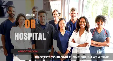 Understanding the Role and Importance of OR Hospitals in Modern Healthcare