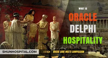 Understanding Oracle Delphi Hospitality: Features, Benefits, and Applications
