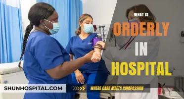 Understanding Orderly Roles: Essential Hospital Support Staff Explained