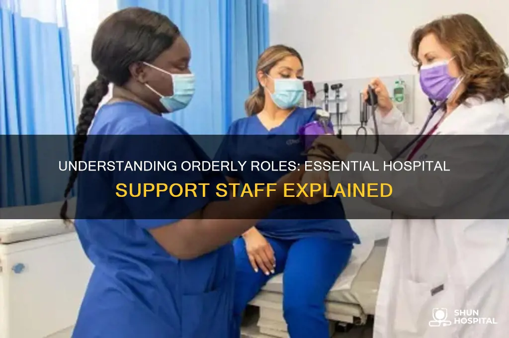 what is orderly in hospital