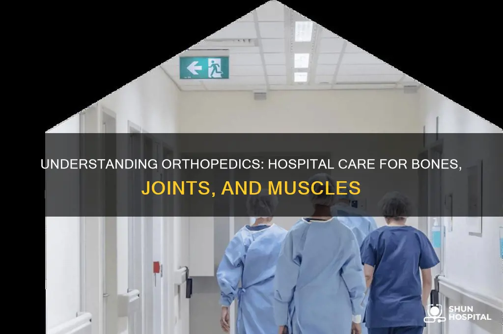 what is ortho in hospital