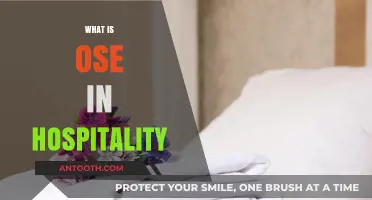 Understanding OSE: Essential Tools for Efficient Hospitality Operations