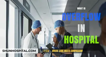 Understanding Hospital Overflow: Causes, Challenges, and Patient Impact Explained