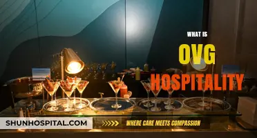 Exploring OVG Hospitality: Services, Impact, and Industry Influence